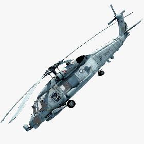 Ara Ararauna 'Blue-and-yellow Macaw Parrot'